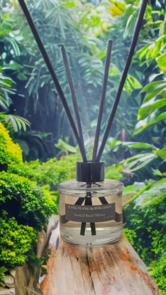 Ylang Ylang & Bergamot Reed Diffuser